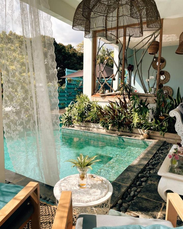 Chambres d'hôtes&spa Le Jardin de Ravintsara Ravine des Cabris Extérieur photo